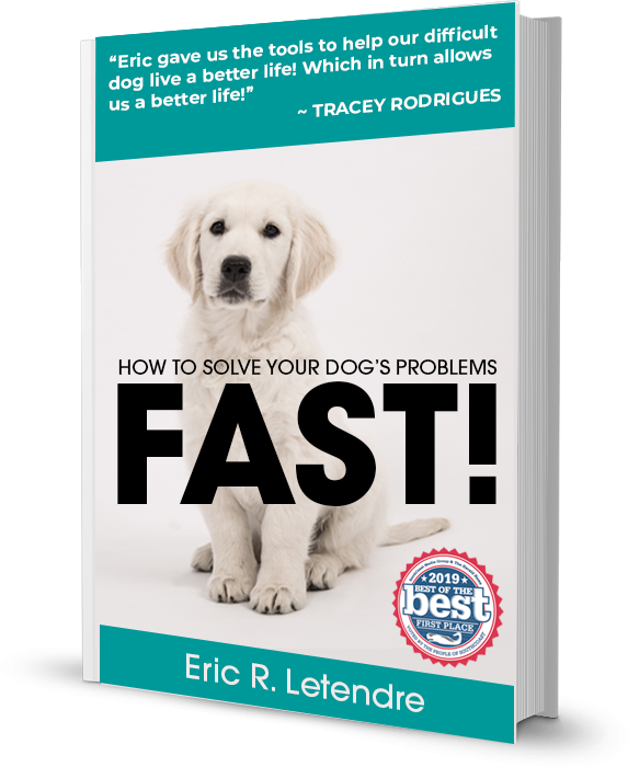 How To Solve Your Dog's Problems - FAST!